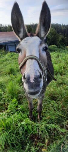 35dda6d2-edbc-49f0-af33-87d7e267666a