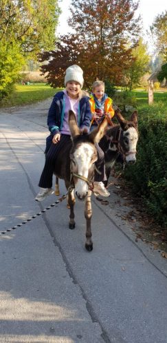 WhatsApp-Bild-2025-10-15-um-10.27.02 4f3c0c1d