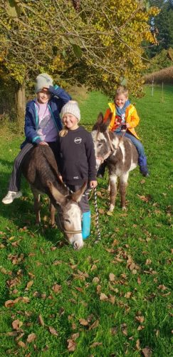 WhatsApp-Bild-2025-10-15-um-10.27.03 6af5f67f