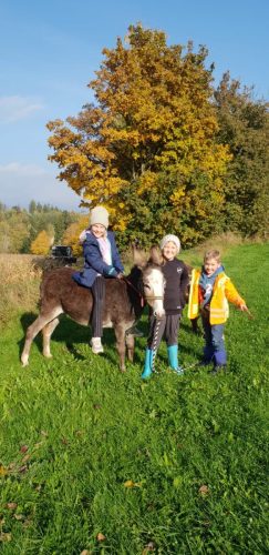 WhatsApp-Bild-2025-10-15-um-10.27.03 e0a64baf